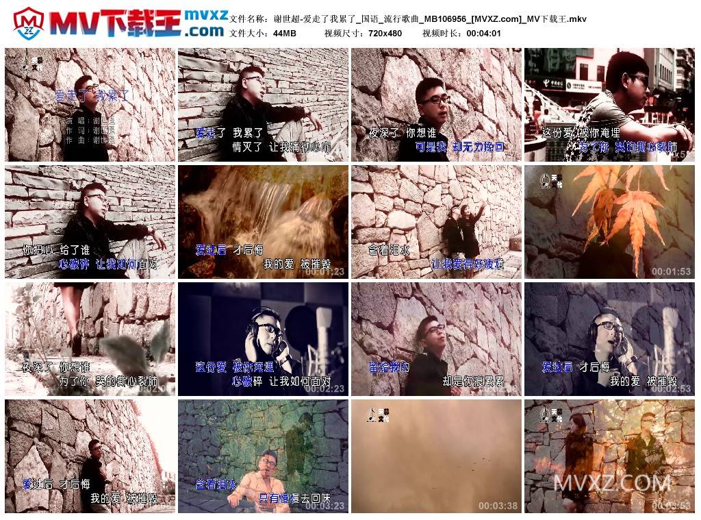 谢世超-爱走了我累了_国语_流行歌曲_MB106956